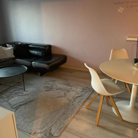 Superbe Appartement Avec Place De Parking Gratuit Straßburg Exterior foto